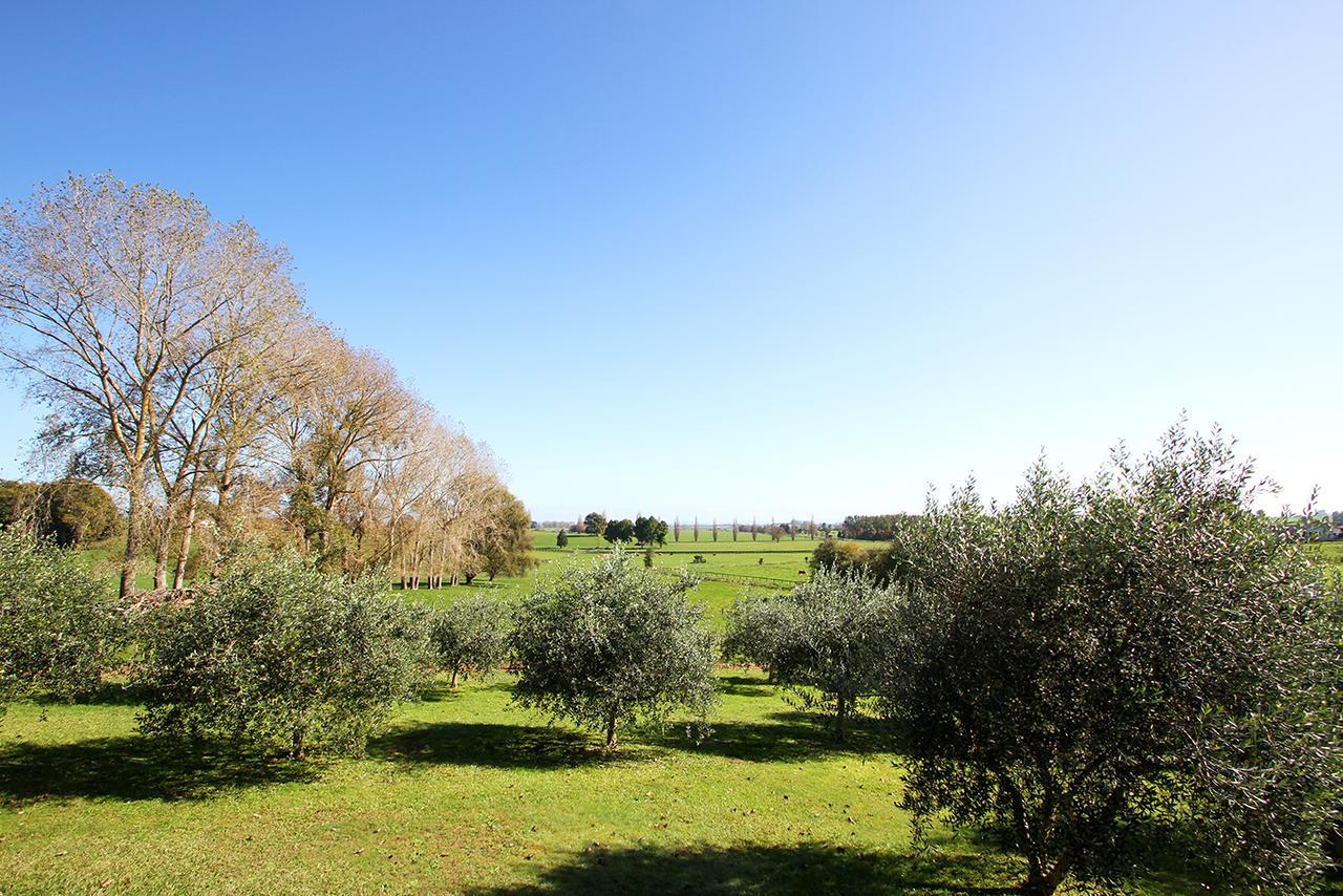 Ohaupo Olives Bed & Breakfast Eksteriør bilde